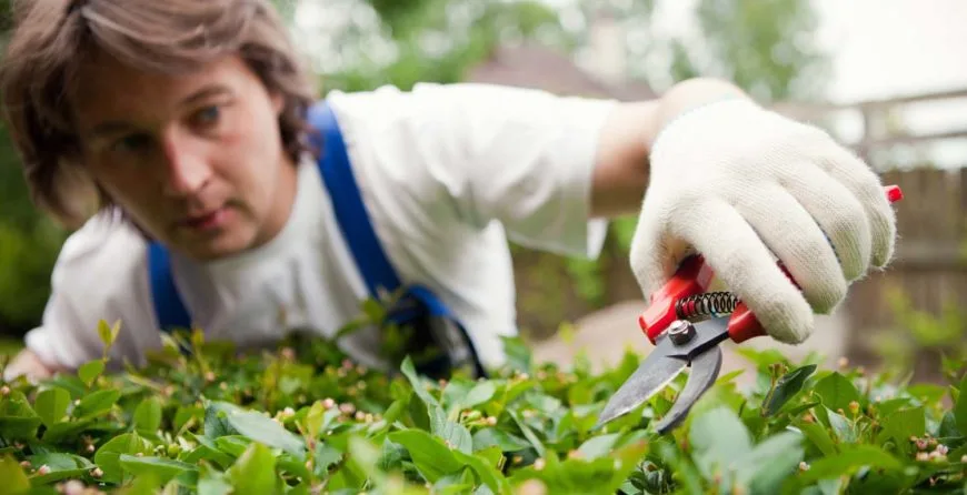 How Landscaping Can Add Curb Appeal to Your Home? - 星空娱乐1