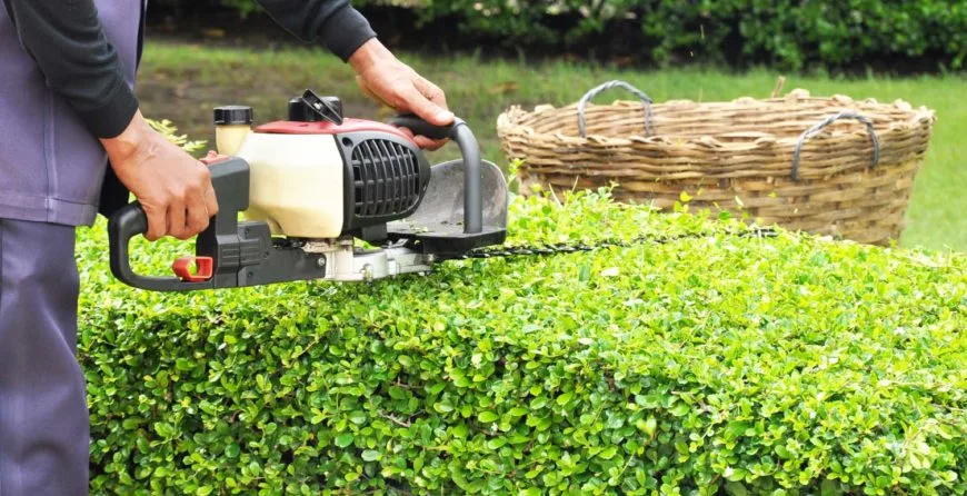 Landscaping: The Best Idea You’ve Ever Had - 星空娱乐1