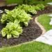 How Landscaping Can Add Curb Appeal to Your Home? - 星空娱乐1