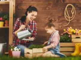 Project Gallery - 星空娱乐1